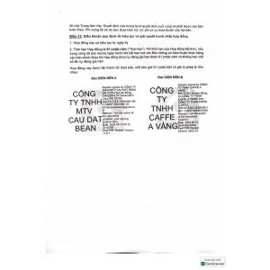 TCB CÀ PHÊ VÀNG ARABICA YELLOW BOURBON 250GR